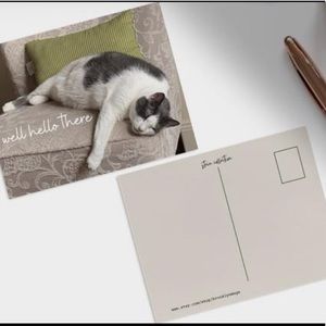 Pack of 10 postcards